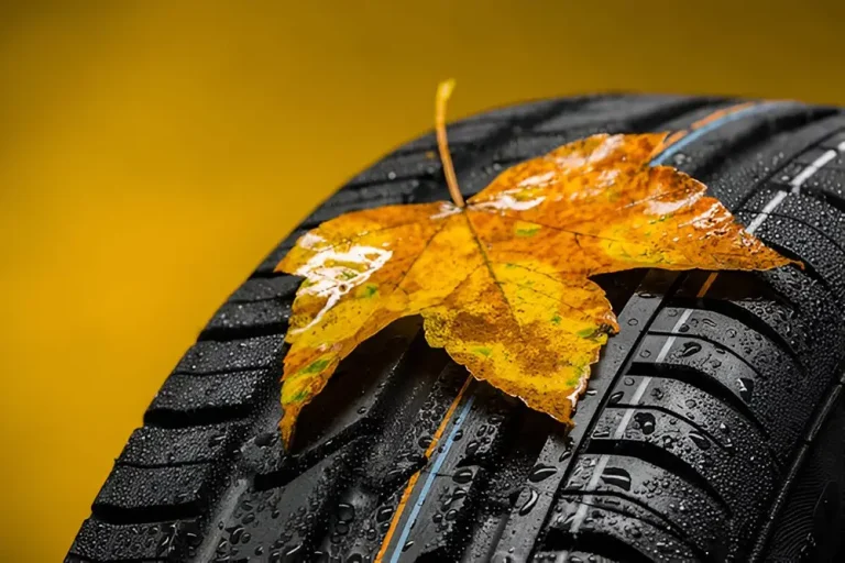 All-Season vs All-Weather Tires: Do You Know the Key Differences?